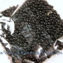 Biseris 2,8x4,2mm