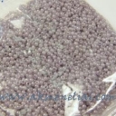 Biseris 1,9x2,5mm