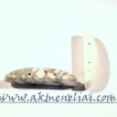 hovlitas 34mm