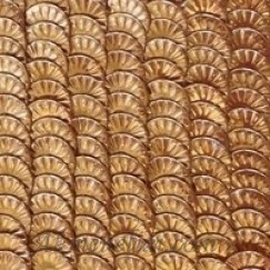 Langlois-Martin žvyneliai Soleil (bikewheels) - Soleil Colour Métallic yellow Gold ORC2 , plokšti 4m