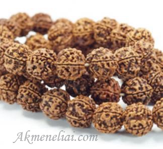 Rudraksha- Rudrakša, 10x9mm