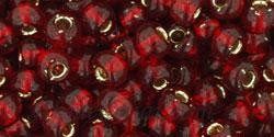 Toho biseris TR-06-25D 6/0 Silver-Lined Garnet