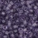 TOHO Treasure TT-01-19 Transparent Sugar Plum