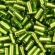 Toho biseris  TB-01-37A 3mm Olivine