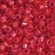 TOHO Treasure TT-01-405 Opaque-Rainbow Cherry