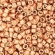 TOHO Treasure TT-01-551 Galvanized Rose Gold
