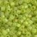 TOHO Treasure TT-01-164F Transparent-Rainbow-Frosted Lime Green