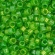 TOHO Treasure TT-01-306 Shamrock-Lined Jonquil