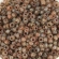 MATUBO MST-10-T03000 10/0 (2.1mm) Crystal - Picasso