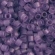 TOHO Treasure TT-01-19F Transparent-Frosted Sugar Plum