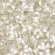 TOHO - Demi Round 11/0 2.2mm TN-11-PF21F PermaFinish - Silver-Lined Frosted Crystal