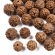 Rudraksha- Rudrakša, karoliukai su skylute, 8~9.5x7~9.5mm