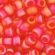 Toho biseris TR-08-165F 8/0 Transparent-Rainbow-Frosted Lt Siam Ruby