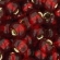 Toho biseris TR-06-25D 6/0 Silver-Lined Garnet
