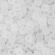 Toho biseris TR-11-141F 11/0 Ceylon Frosted Snowflake