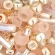Toho biseris MIX3213 Bara- Rose MIX