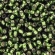 Toho biseris TR-15-37 15/0 Silver Lined Olivine