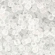 Toho biseris TR-15-1F 15/0 Transparent Frosted Crystal
