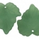 Lapelis akrilinis žalias matinis 24x22,5mm