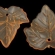 Lapelis akrilinis oranžinis skaidrus 24x22,5mm