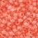 Toho biseris TR-11-964 11/0  Inside-Color Crystal/Dark Coral Lined 