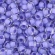 Toho biseris TR-11-977 11/0  Inside-Color Crystal/Neon Purple Lined 