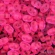 Čekiškas Preciosa Twin - 50g. originali pakuotė, 2,5x5mm, rožinė neoninė