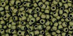 Toho biseris TR-11-617 11/0 Matte color Dark Olive 