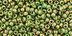 Toho biseris TR-11-1702 11/0 Gilded marble Green