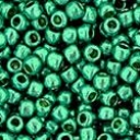 11/0 dydis Su Permanent Finish danga