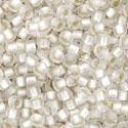 Toho biseris TR-15-21F 15/0 Silver-Lined Frosted Crystal    