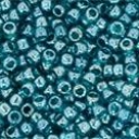 15/0 dydis Transparent spalvos