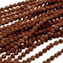 Rudraksha- Rudrakša karoliukai