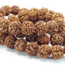 Rudraksha- Rudrakša karoliukai