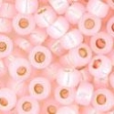 8/0 dydis Su Permanent Finish danga