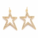 Nerūdijančio plieno 18K paauksuotas pakabukas, su cirkoniais, 27x19mm