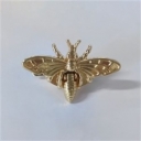 Užsegimas, aukso spalvos, 3.35x4.8cm