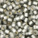 Toho biseris TR-11-29AF 11/0 Silver Lined Frosted Black Diamond