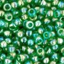 11/0 dydis su Rainbow danga