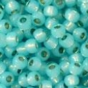 11/0 dydis Su Permanent Finish danga